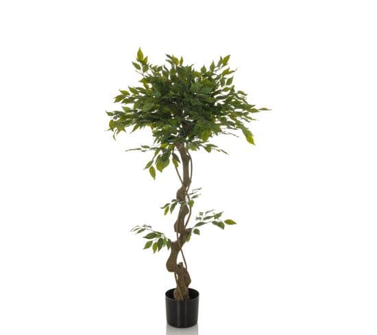 Plante Artificielle Ficus I Vert