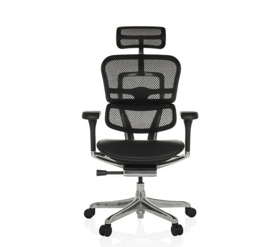 Fauteuil De Bureau Ergohuman Gen2 Noir