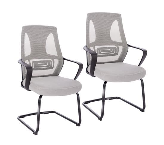 Lot De 2 Chaises Visiteurs En Polyester Gris 60 x 53 x 100 Cm