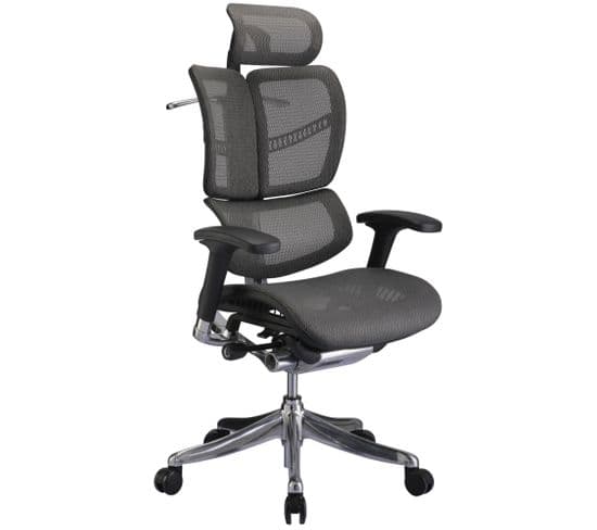 Fauteuil De Bureau Ergonomique Norfolk Avec Dossier Et Appuie-tête Ajustables Gris