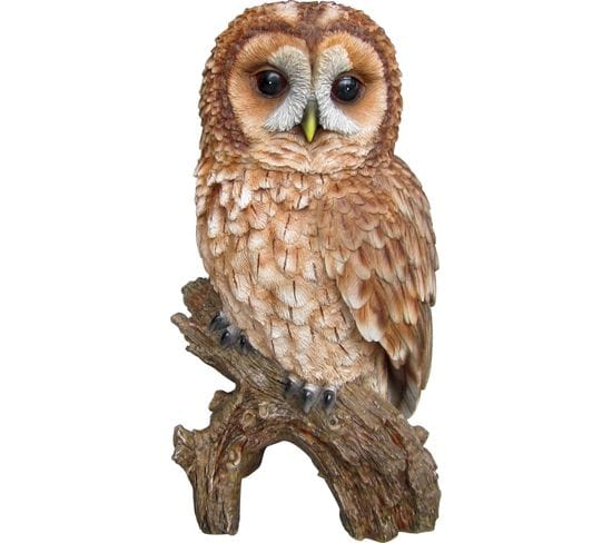 Hibou Fauve En Résine 31 Cm