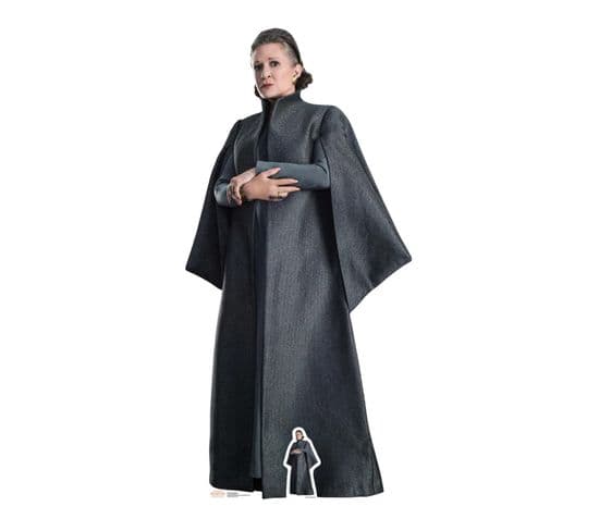 Figurine En Carton Leia Organa Episode Viii Star Wars H 157 Cm