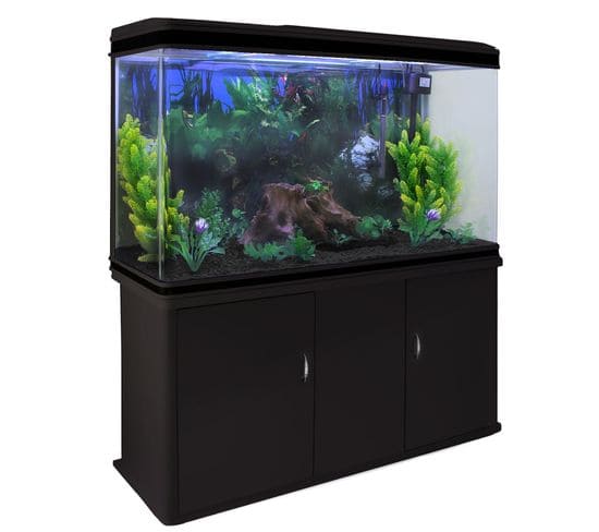 Aquarium à Bords Noir Avec Meuble De Support Noir