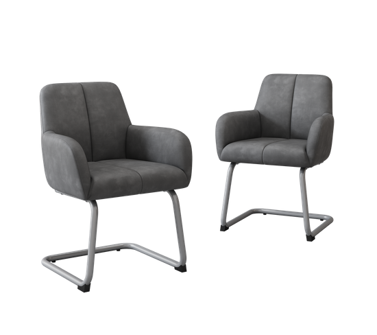 Lot De 2 Chaises Gris