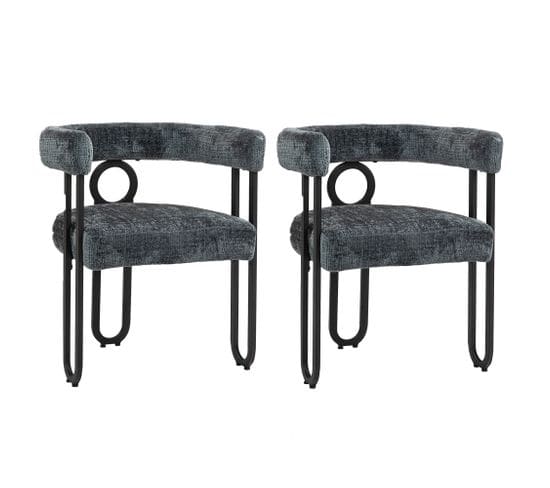 Lot De 2 Chaises Avec Accoudoirs Et Pieds En Métal Gris