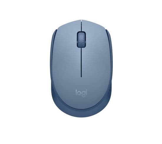 M171 Souris Sans Fil 2,4 Ghz Avec Minirécepteur Usb, Suivi Optique, Ambidextre  Bleu Gris