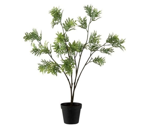 Plante Artificielle En Pot "mimosa" 73cm Vert