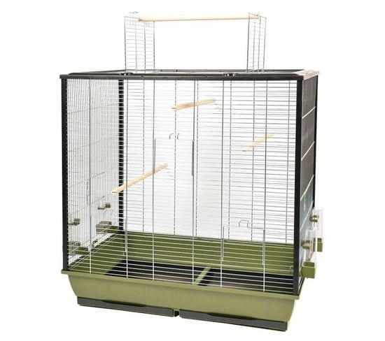 Cage Natural Fiona 78 X 48 X 81,5 Cm 8 Kg Vert Olive Et Zinc Pour Oiseaux