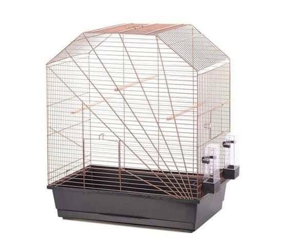 Cage Copper Lexa 54 X 34 X 64,5 Cm 3,5 Kg Noir Et Cuivre Pour Oiseaux