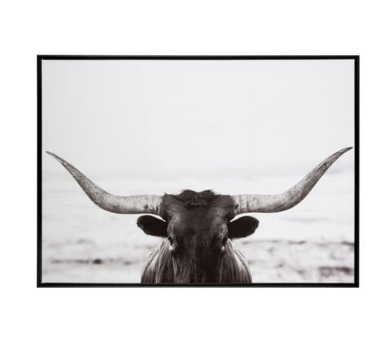 Cadre Photo 'taureau" 104x144cm Noir et Blanc