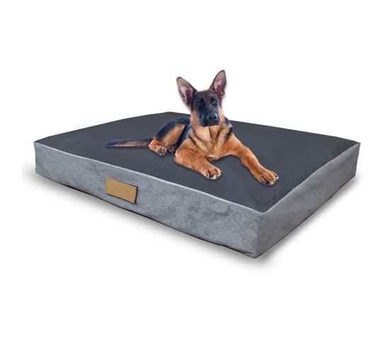 Matelas Pour Chien Xl