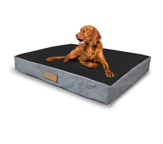 Matelas Pour Chien Xl