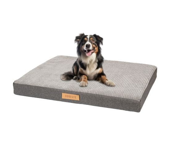 Matelas Orthopédique XXL Pour Chien