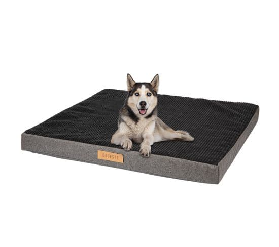 Matelas Orthopédique XL Pour Chien