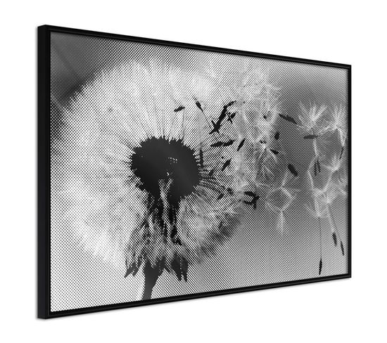 Affiche Murale Encadrée "dandelion In The Wind" 60 X 40 Cm Noir