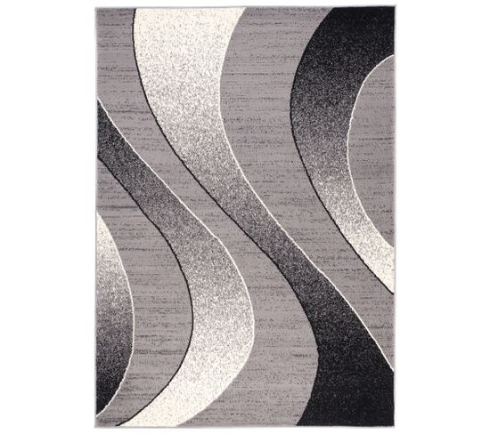 Tapis De Salon Chambre Rectangle Gris Argent Noir Vagues Fin Dream 120 X 170 Cm