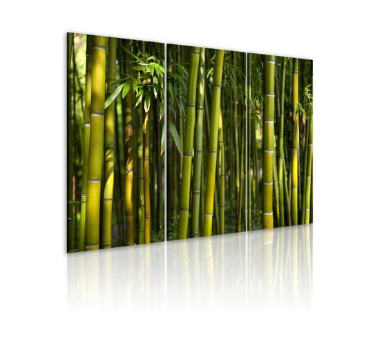 Tableau Imprimé "bambou et Vert" 40x60cm
