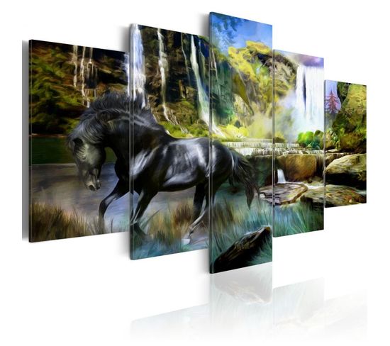 Tableau "cheval Noir Sur Fond De Cascade Paradis" 50 X 100 Cm