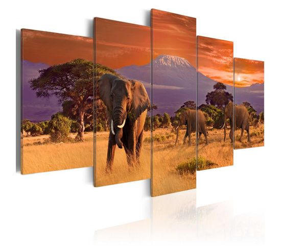 Tableau Imprimé "afrique : Éléphants" 100 X 200 Cm