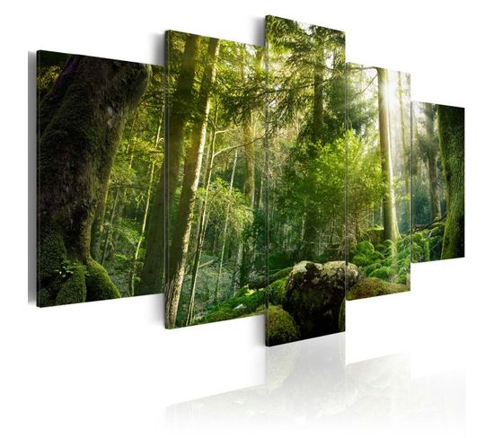 Tableau Imprimé "beauté De La Forêt" 100 X 200 Cm