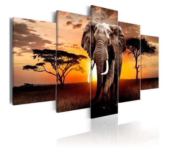 Tableau Imprimé "elephant Migration" 50 X 100 Cm