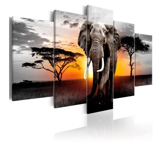 Tableau Imprimé "elephant At Sunset" 100 X 200 Cm