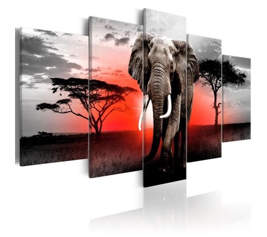 Tableau Imprimé "lonely Elephant" 100 X 200 Cm