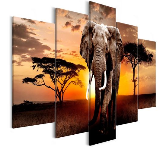 Tableau Imprimé "wandering Elephant 5 Panneaux Wide" 100x225cm