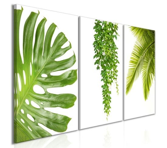 Tableau Imprimé "beautiful Palm Trees 3 Panneaux" 60x120cm
