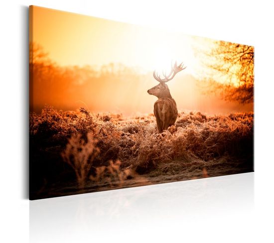 Tableau Imprimé "deer In The Sun" 80 X 120 Cm
