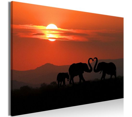 Tableau Imprimé "elephants In Love Wide" 40 X 60 Cm