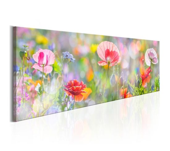 Tableau Imprimé "rainbow Of Morning Poppies" 40 X 120 Cm