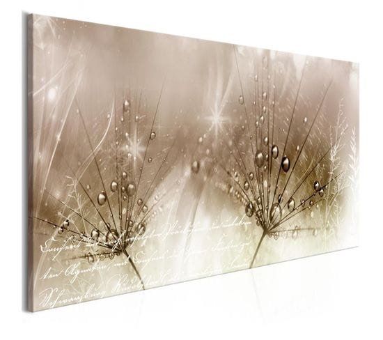 Tableau Imprimé "drops Of Dew Brown Wide" 45x100cm