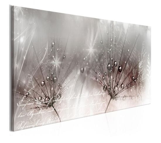 Tableau Imprimé "drops Of Dew Pink Wide" 45x100cm