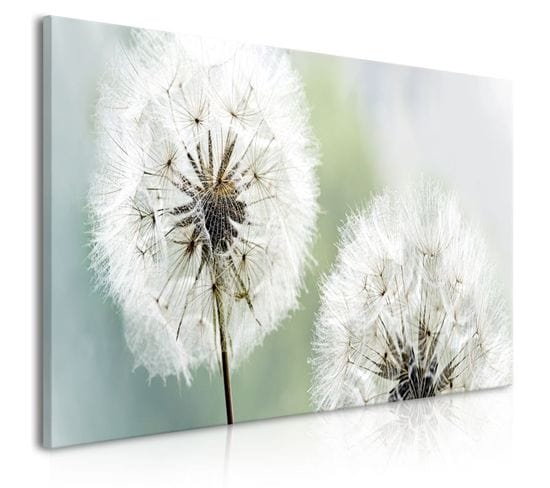 Tableau Imprimé "fluffy Dandelions Green Wide" 45x100cm