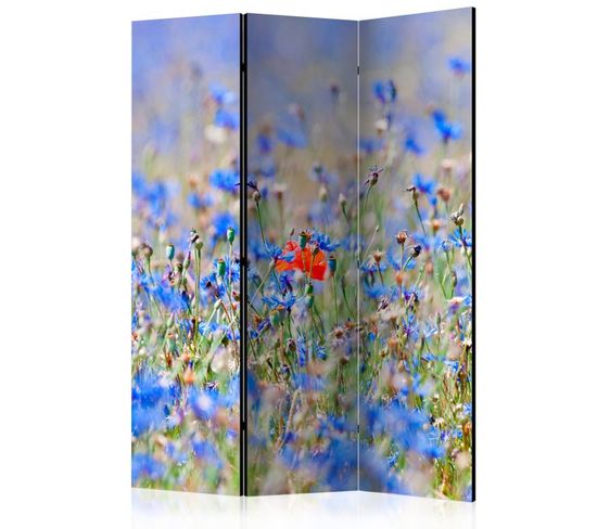 Paravent 3 Volets "a Sky Colored Meadow Cornflowers" 135x172cm