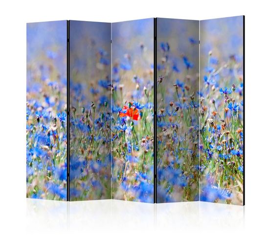 Paravent 5 Volets "a Sky Colored Meadow Cornflowers" 172x225cm