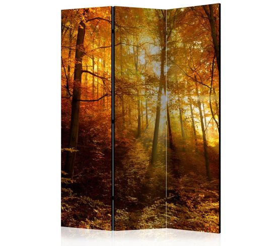 Paravent 3 Volets "autumn Illumination" 135x172cm