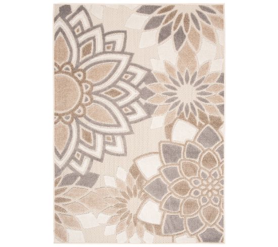 Tapis Extérieur Intérieur Beige Gris Rosette 120x170 cm