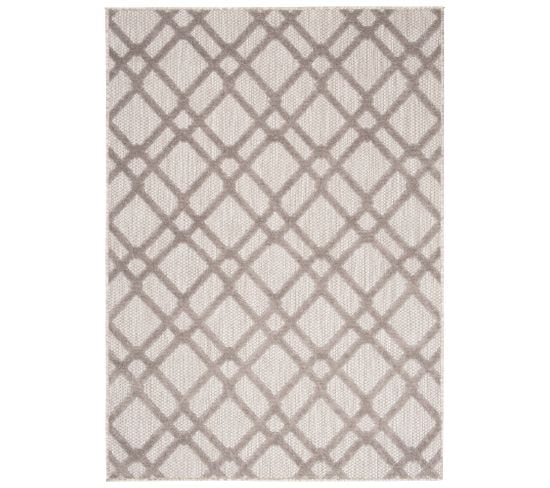 Tapis Extérieur Intérieur Gris Beige Rayures 120x170 cm