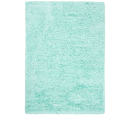 Tapis Salon Chambre Antidérapant Bébé Menthe Uni Shaggy Super Doux 160x230 cm