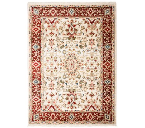 Tapis Salon Crème Rouge Beige Bleu Vert Oriental Franges Fin 200x305cm