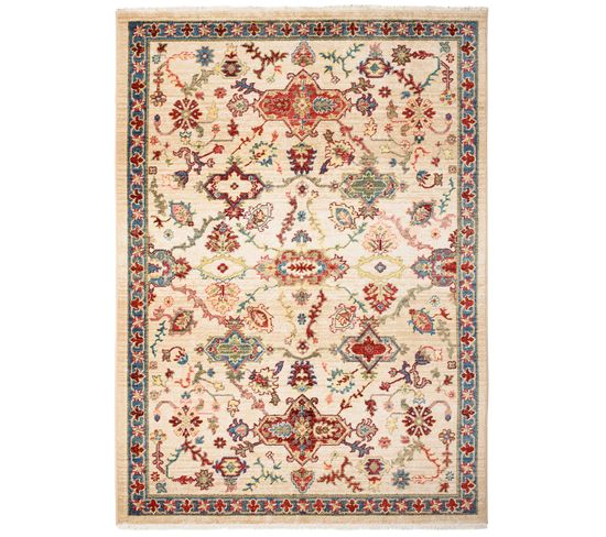 Tapis Salon Beige Bleu Crème Rouge Vert Oriental Franges Fin 160x225cm