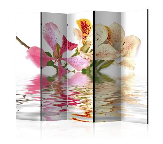 Paravent 5 Volets "tropical Flowers Orchid Tree Bauhinia" 172x225cm