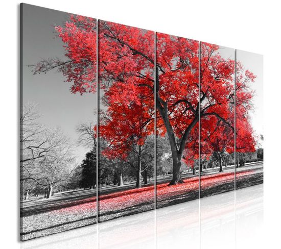 Tableau 5 Panneaux "autumn In The Park Narrow Red" 90 X 225 Cm