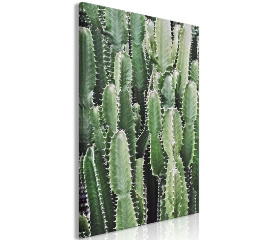 Tableau Imprimé "cactus Garden" 40 X 60 Cm