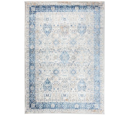 Tapis Salon Chambre Vintage Bleu Gris Miel 200x300 Valley