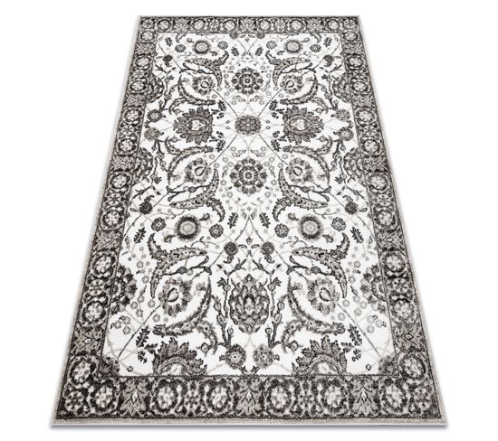 Tapis Mateo 8037/944 Moderne Cadre, Fleurs - Structurel Gris / Beige  160x220 Cm