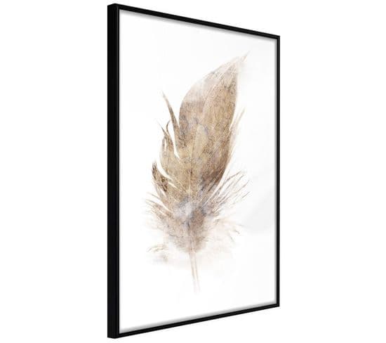 Affiche Murale Encadrée "lost Feather Beige" 40 X 60 Cm Noir