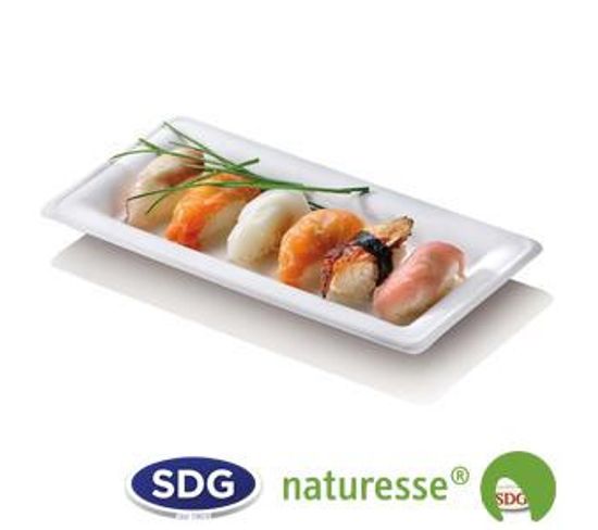 Assiette En Pulpe De Cellulose Elégance 26x13 Cm - Lot De 500 - Sdg